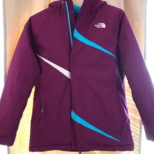 The North Face Winter Jacket